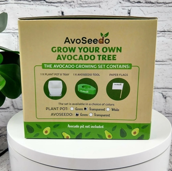 AvoSeedo, pot & saucer. Avocado tree seed growing kit, organic - Picture 4 of 5